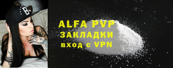 хмурый Белокуриха