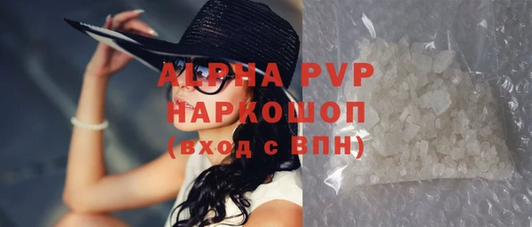 хмурый Белокуриха
