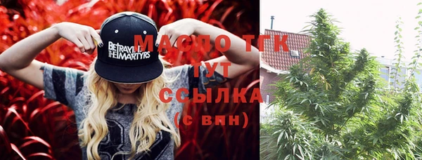молекула духа Туринск