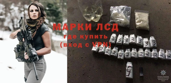 хмурый Белокуриха