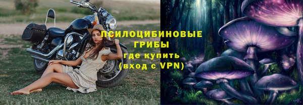 хмурый Белокуриха