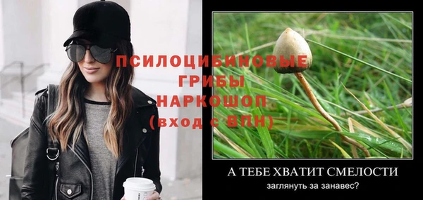 ешки Белоозёрский