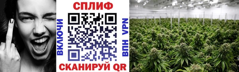 Каннабис White Widow ссылка на мегу вход Гай купить наркотики цена